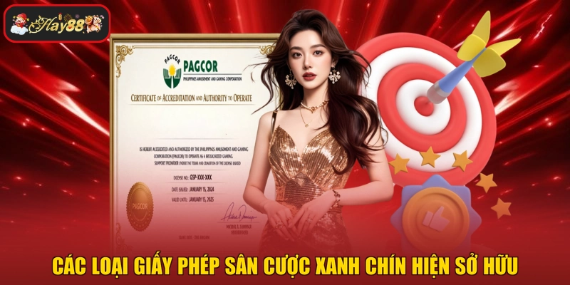 Các loại giấy phép sân cược xanh chín hiện sở hữu
