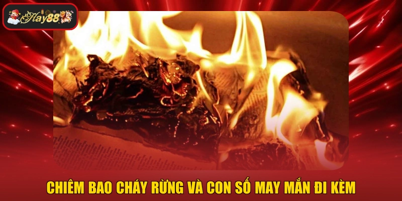 Chiêm bao cháy rừng và con số may mắn đi kèm