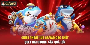 Chiến Thuật Lùa Cá Vào Góc Chết – Quét Đại Dương, Săn Quà Lớn