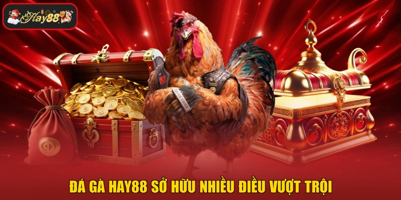 Đá gà HAY88 sở hữu nhiều điều vượt trội