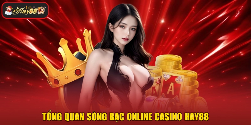 Tổng quan sòng bạc online casino HAY88
